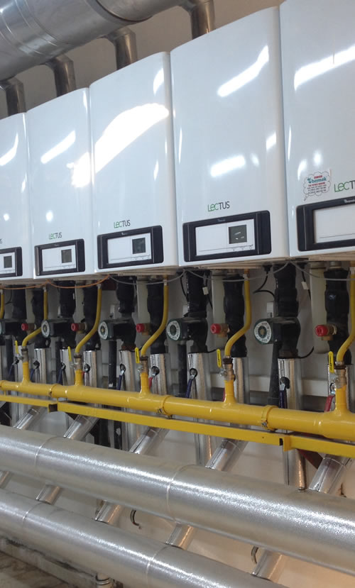 Efe Group Güleryüzlü Personel